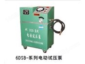 6DSB-系列电动试压泵
