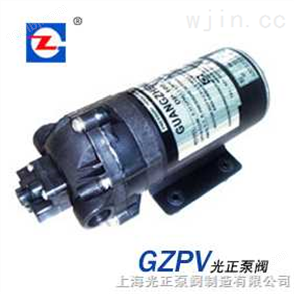 光正DP-100型微型隔膜泵